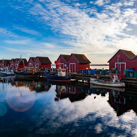 Schwarzer Baer Whg Baer 02 *